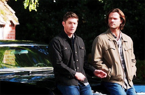 sam-dean-and-the-impala-by-cheerfulsammy